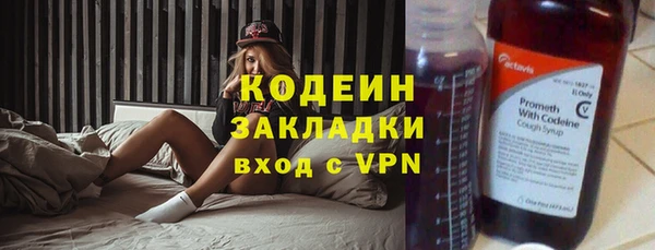 стафф Осташков