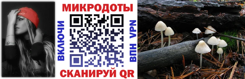 Галлюциногенные грибы MAGIC MUSHROOMS  Купить закладки  Чишмы 
